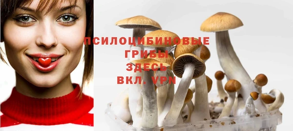 Альфа ПВП Алексеевка