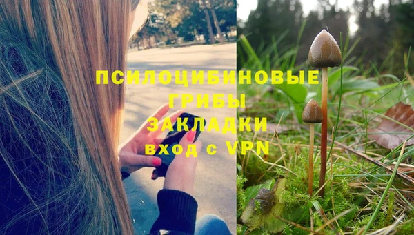 гидра Алексин