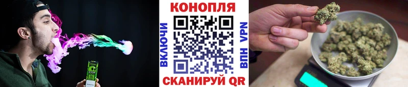 darknet наркотические препараты  MEGA ссылка  Ачинск  Шишки марихуана тримм 